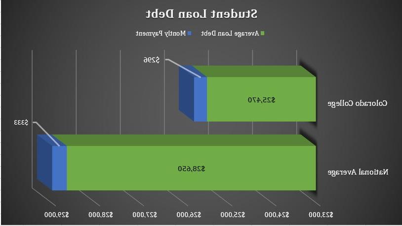 Loan Visual